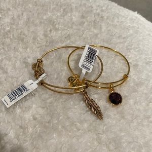 2 Alex & Ani bracelets